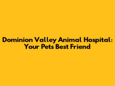 Dominion Valley Animal Hospital: Your Pet's Best Friend