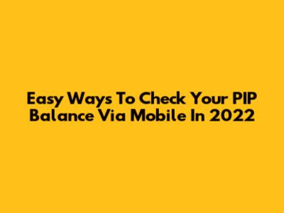 Easy Ways To Check Your PIP Balance Via Mobile In 2022
