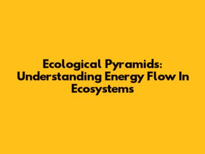 Ecological Pyramids: Understanding Energy Flow In Ecosystems