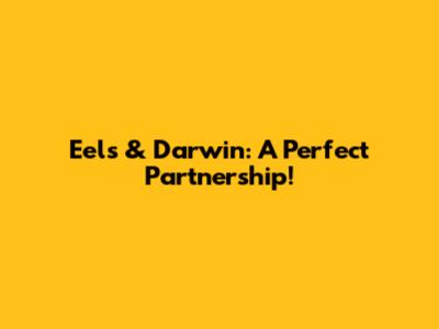 Eels & Darwin: A Perfect Partnership!