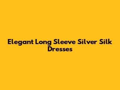 Elegant Long Sleeve Silver Silk Dresses