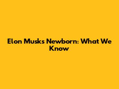 Elon Musk's Newborn: What We Know