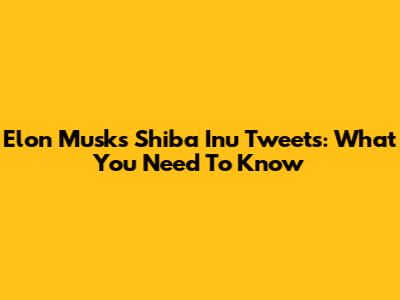 Elon Musk's Shiba Inu Tweets: What You Need To Know