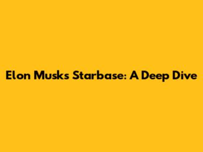 Elon Musk's Starbase: A Deep Dive