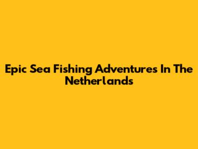 Epic Sea Fishing Adventures In The Netherlands