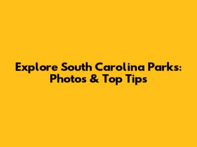 Explore South Carolina Parks: Photos & Top Tips