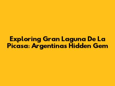 Exploring Gran Laguna De La Picasa: Argentina's Hidden Gem