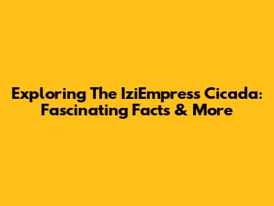 Exploring The IziEmpress Cicada: Fascinating Facts & More