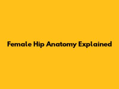 Female Hip Anatomy Explained