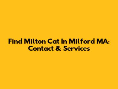 Find Milton Cat In Milford MA: Contact & Services