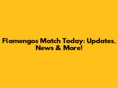 Flamengo's Match Today: Updates, News & More!