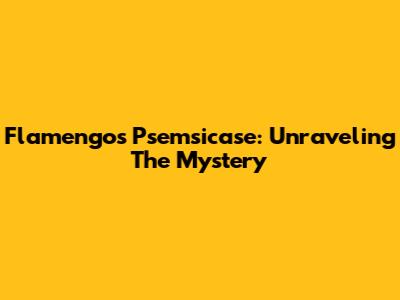 Flamengo's Psemsicase: Unraveling The Mystery