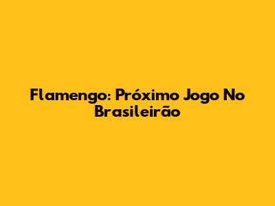 Flamengo: Próximo Jogo No Brasileirão