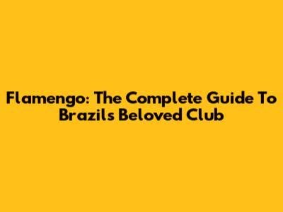 Flamengo: The Complete Guide To Brazil's Beloved Club