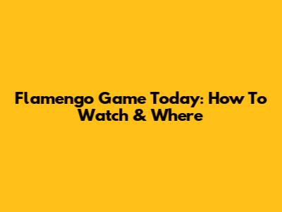 Flamengo Game Today: How To Watch & Where