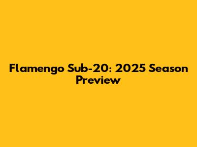 Flamengo Sub-20: 2025 Season Preview