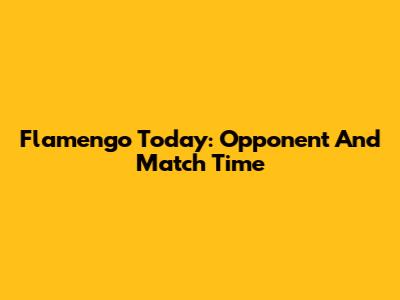 Flamengo Today: Opponent And Match Time