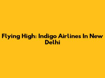 Flying High: Indigo Airlines In New Delhi