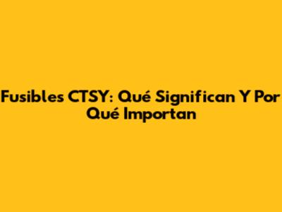 Fusibles CTSY: Qué Significan Y Por Qué Importan