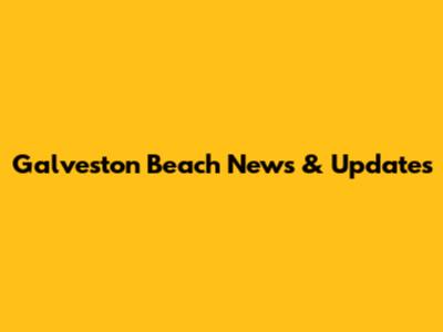 Galveston Beach News & Updates