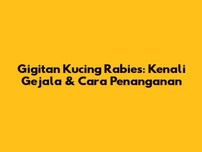 Gigitan Kucing Rabies: Kenali Gejala & Cara Penanganan