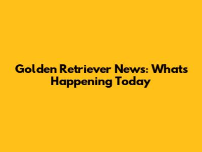 Golden Retriever News: What's Happening Today