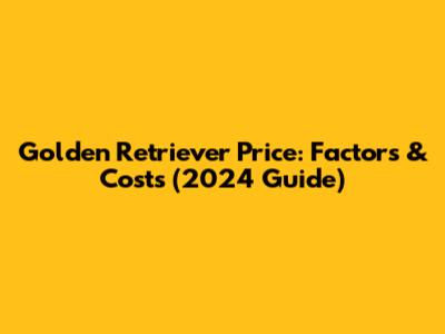 Golden Retriever Price: Factors & Costs (2024 Guide)