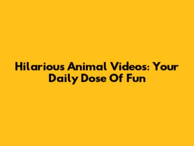 Hilarious Animal Videos: Your Daily Dose Of Fun
