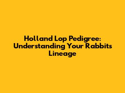 Holland Lop Pedigree: Understanding Your Rabbit's Lineage