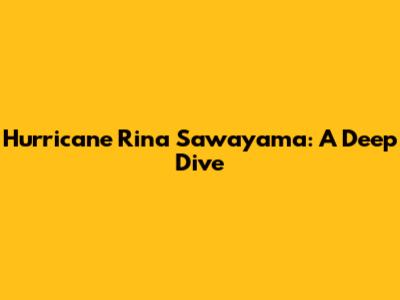 Hurricane Rina Sawayama: A Deep Dive