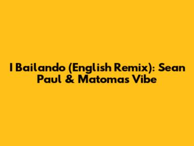 I Bailando (English Remix): Sean Paul & Matoma's Vibe