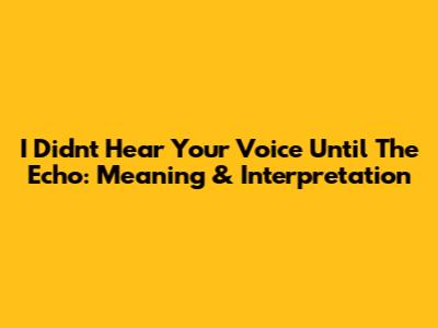 I Didn't Hear Your Voice Until The Echo: Meaning & Interpretation