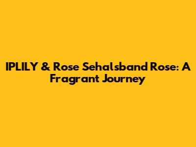 IPLILY & Rose Sehalsband Rose: A Fragrant Journey