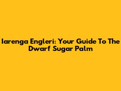 Iarenga Engleri: Your Guide To The Dwarf Sugar Palm