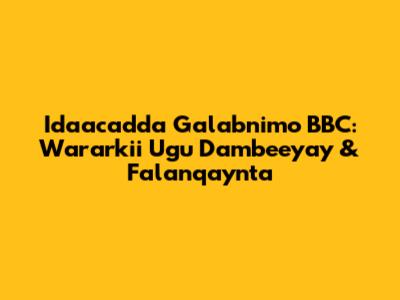 Idaacadda Galabnimo BBC: Wararkii Ugu Dambeeyay & Falanqaynta