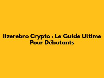 Iizerebro Crypto : Le Guide Ultime Pour Débutants