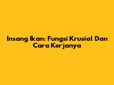 Insang Ikan: Fungsi Krusial Dan Cara Kerjanya