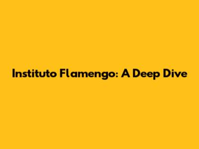Instituto Flamengo: A Deep Dive