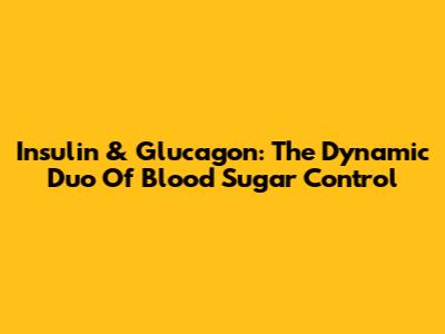 Insulin & Glucagon: The Dynamic Duo Of Blood Sugar Control