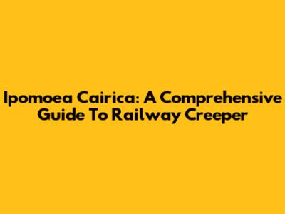Ipomoea Cairica: A Comprehensive Guide To Railway Creeper