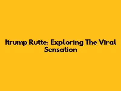 Itrump Rutte: Exploring The Viral Sensation