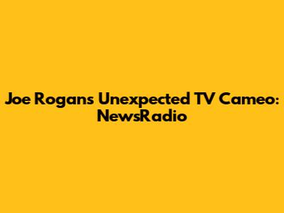 Joe Rogan's Unexpected TV Cameo: NewsRadio