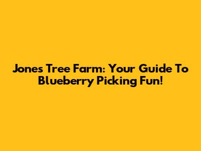 Jones Tree Farm: Your Guide To Blueberry Picking Fun!