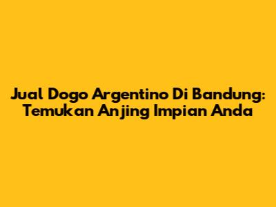 Jual Dogo Argentino Di Bandung: Temukan Anjing Impian Anda
