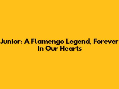 Junior: A Flamengo Legend, Forever In Our Hearts