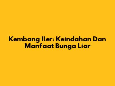 Kembang Iler: Keindahan Dan Manfaat Bunga Liar
