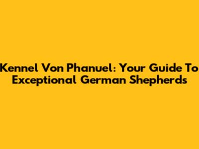Kennel Von Phanuel: Your Guide To Exceptional German Shepherds
