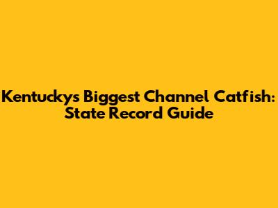 Kentucky's Biggest Channel Catfish: State Record Guide