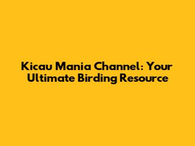 Kicau Mania Channel: Your Ultimate Birding Resource