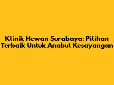 Klinik Hewan Surabaya: Pilihan Terbaik Untuk Anabul Kesayangan